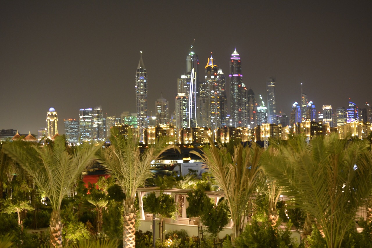 Dubai, the thriving city